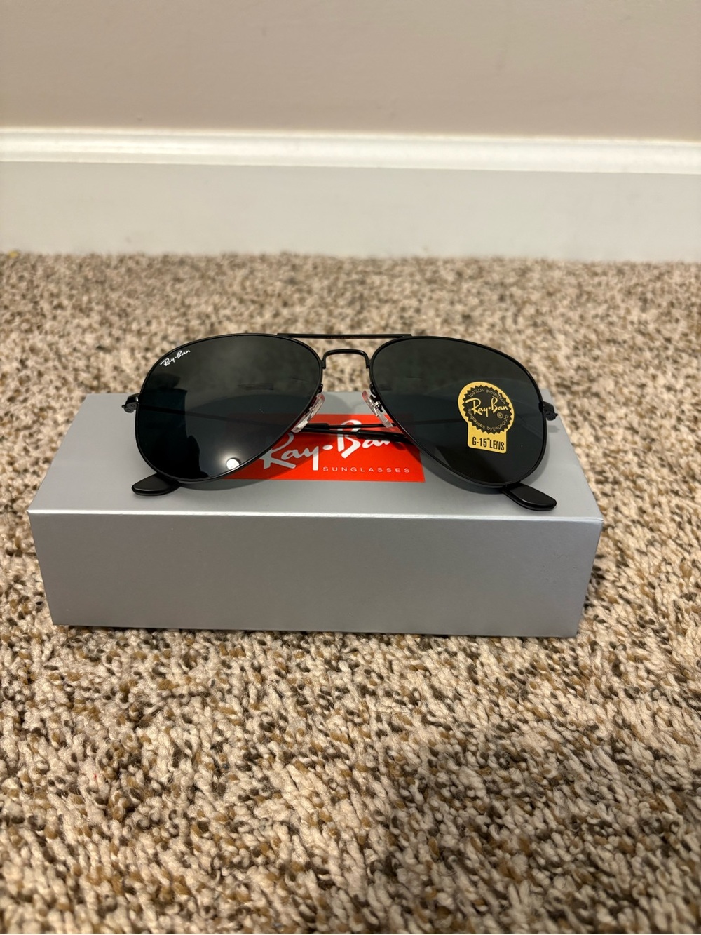 Ray-Ban Black Aviator Sunglasses with Dark Lenses